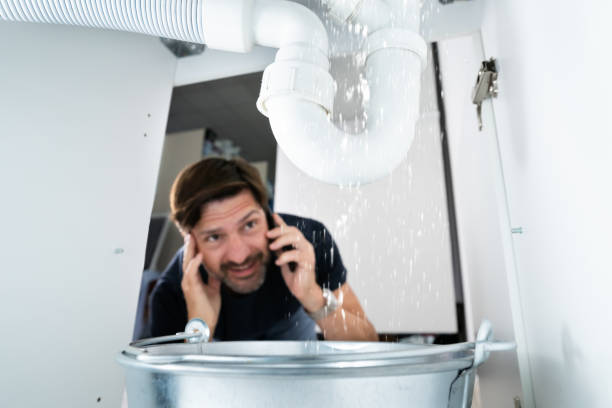 Best Affordable Plumbing Services  in Mango, FL