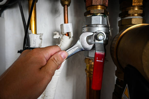 Best Toilet Repair Services  in Mango, FL